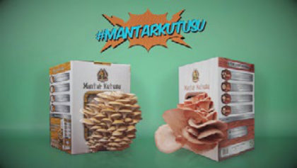 Product launch film — Permakultur · Mantar Kutusu